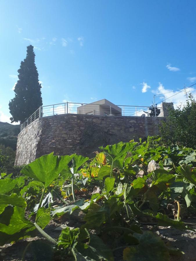 Villa Irini - Cretan Luxury Villa With Amazing View Paraspori (Crete) Exterior foto